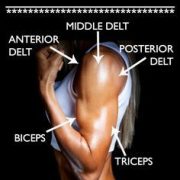 6 BEST EXERCISES FOR ARM DEFINITION AT HOME