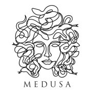 medusa face continuous single line style isolated on white - #continuous #face #... pin.2elci.com Best Tattos